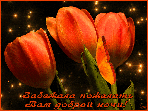 Открытка «Доброй ночи»: Доброй ночи: «Тюльпаны и бабочка».