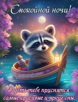 Открытка «Спокойной ночи»: Спокойной ночи: мультяшный енот в лодке. Тэги: Спокойной ночи, красивые, Спокойной ночи…