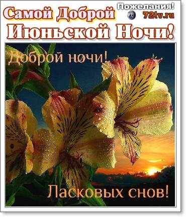 Открытка «Доброй ночи»: Доброй ночи: Ласковых снов в июньский вечер.