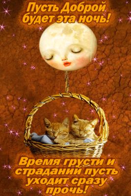 Открытка «Доброй ночи»: Доброй ночи: спящие коты и добрая луна. Тэги: Спокойной ночи, пожелание, кот, надпись, милый…