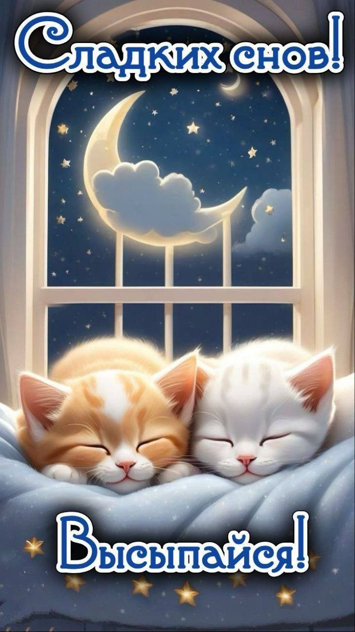 Открытка «Доброй ночи»: Сладких снов и доброй ночи: Милые котята. Тэги: пожелание, кот, милый, отдых, облако, окно…