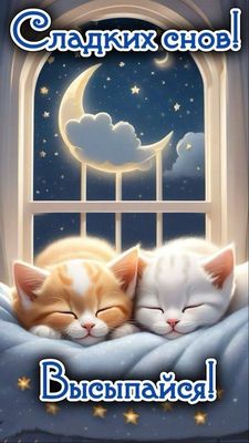 Открытка «Доброй ночи»: Сладких снов и доброй ночи: Милые котята. Тэги: пожелание, кот, милый, отдых, облако, окно…