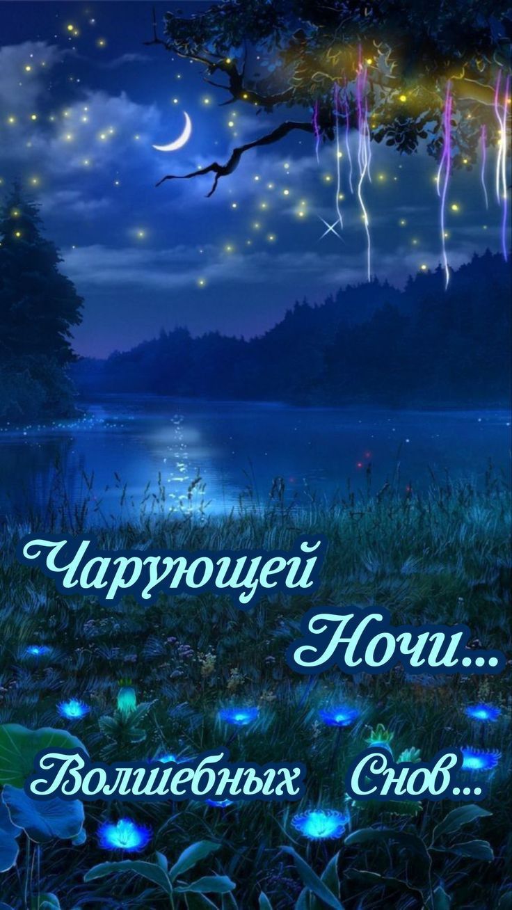 Открытка «Доброй ночи»: Доброй ночи: «Волшебный пейзаж с сияющими цветами».