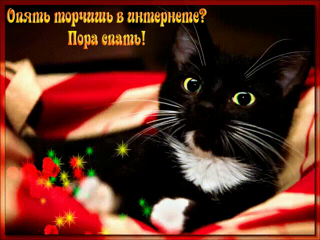 Открытка «Доброй ночи»: Доброй ночи: Смешной кот напоминает про сон. Тэги: проза