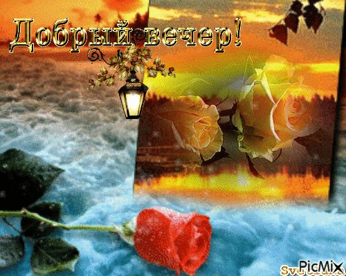 Открытка «Добрый вечер и пожелания»: Добрый вечер: романтичные розы и фонарь на закате. Тэги: Добрый вечер красивые…