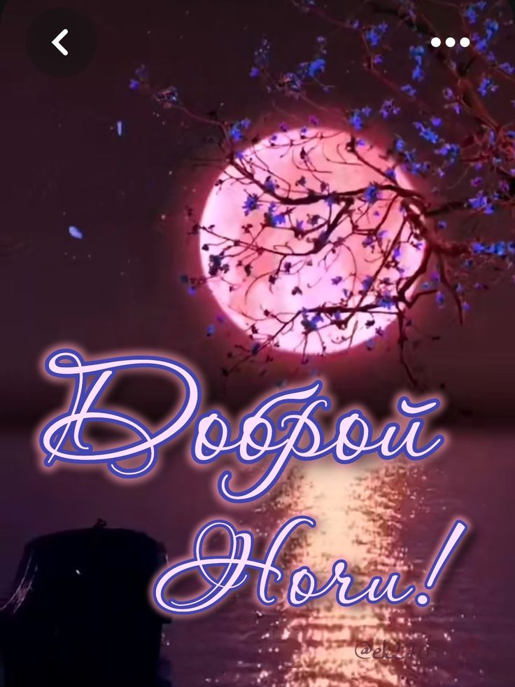 Открытка «Доброй ночи»: Пожелание доброй ночи с волшебной луной. Тэги: пожелание, надпись, красивый, цветок, природа…