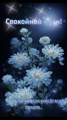 Открытка «Спокойной ночи»: Спокойной ночи: нежные цветы и звёздное небо. Тэги: Спокойной ночи, красивые, Спокойной но…