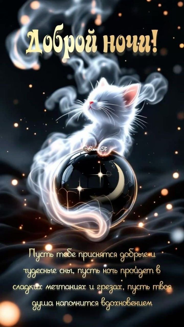 Открытка «Доброй ночи»: Доброй ночи: Волшебный белый кот на шаре. Тэги: пожелание, кот, милый, красивый, отдых…