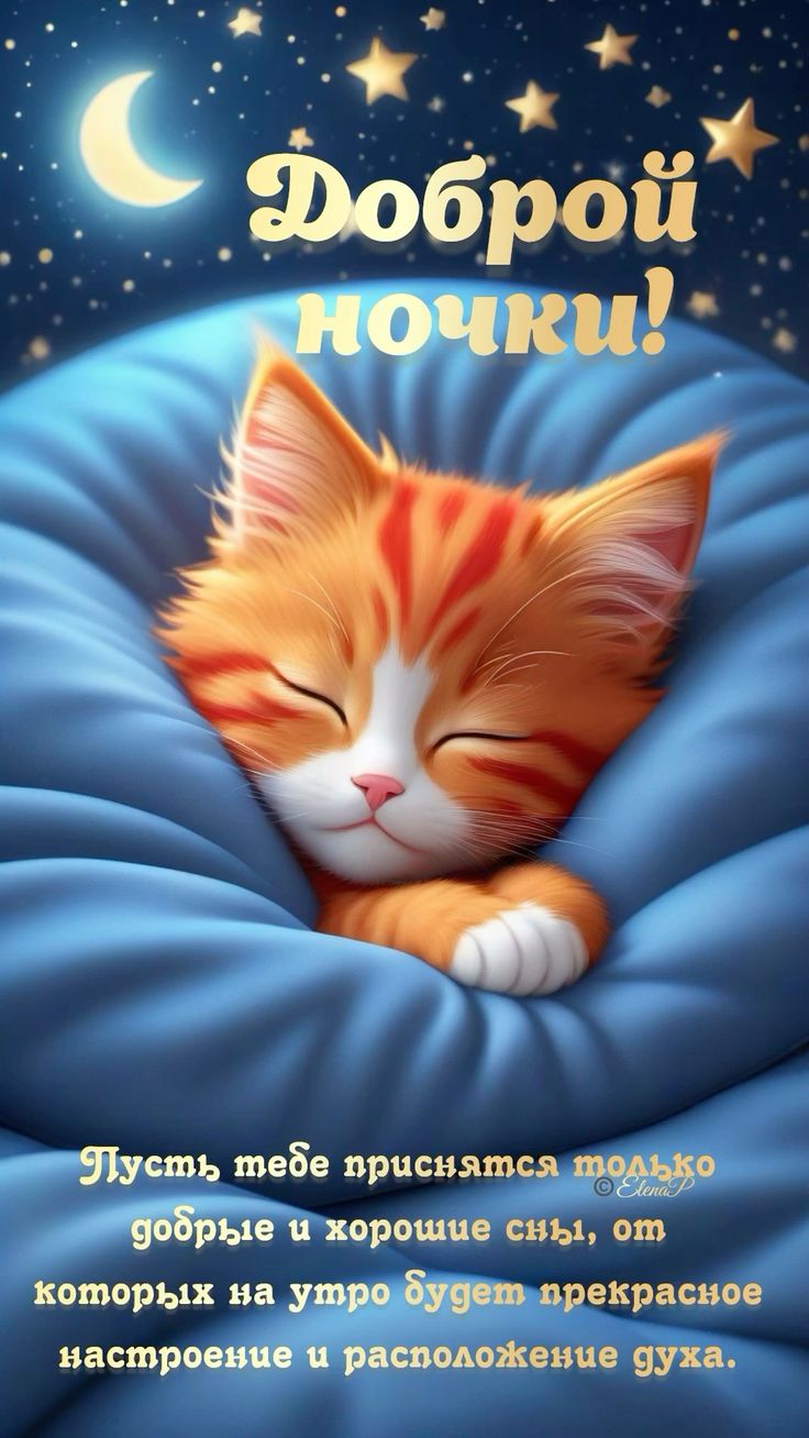 Открытка «Доброй ночи»: Доброй ночи: Спящий рыжий кот. Тэги: пожелание, кот, милый, отдых, рыжий, звезда, проза, сон…