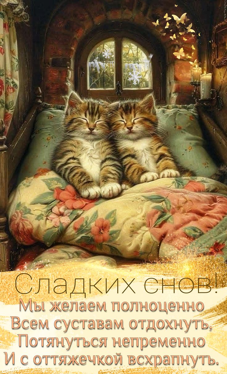 Открытка «Доброй ночи»: Доброй ночи: смешной стих про котов. Тэги: пожелание, смешной, кот, милый, животное, юмор…