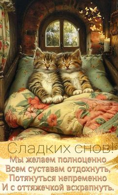 Открытка «Доброй ночи»: Доброй ночи: смешной стих про котов.