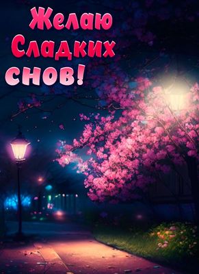 Открытка «Доброй ночи»: Доброй ночи: Пожелание сладких снов.