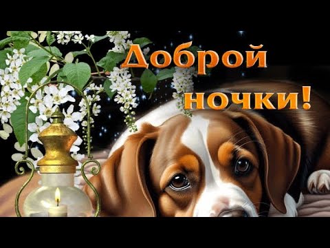 Открытка «Доброй ночи»: Открытка «Доброй ночи» с милым щенком и фонарем.
