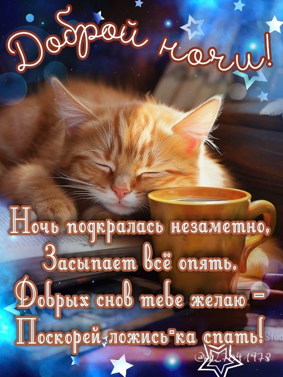 Открытка «Доброй ночи»: Доброй ночи: спящий кот и стихотворные пожелания.