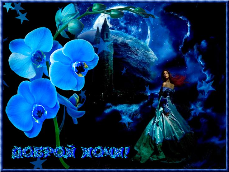 Открытка «Доброй ночи»: Доброй ночи: Волшебная фея и голубые орхидеи.