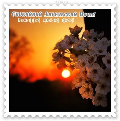 Открытка «Спокойной ночи»: Спокойной ночи: Нежная открытка с весенними цветами. Тэги: Спокойной ночи, красивые…