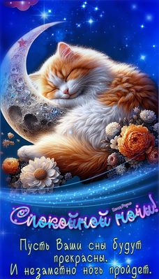 Открытка «Спокойной ночи»: Спокойной ночи: Кот спит на луне. Тэги: Спокойной ночи, красивые, Спокойной ночи, с пожела…
