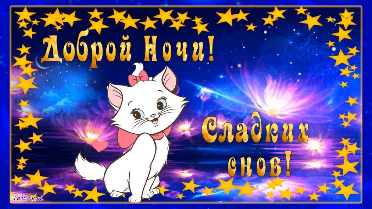 Открытка «Доброй ночи»: Картинка доброй ночи: Белый котенок и звезды.
