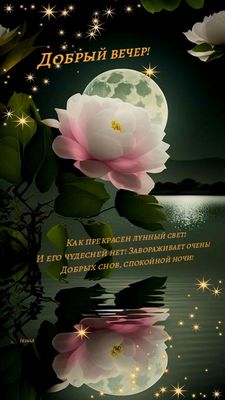 Открытка «Спокойной ночи»: Добрый вечер: чудесный лунный свет и цветы. Тэги: Добрый вечер и пожелания, Добрый вечер к…