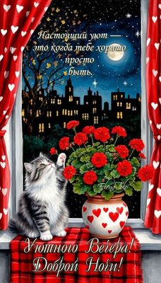 Открытка «Доброй ночи»: Доброй ночи: Уютный вечер с котом и цветами.