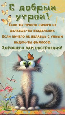 Открытка «С добрым утром»: С добрым утром! Философия кота и бабочки. Тэги: кот, животное, пожелание, отличное настрое…