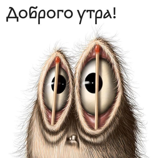 Открытка «С добрым утром»: С добрым утром! Утро на спичках. Тэги: С добрым утром с юмором, С добрым утром с животными…