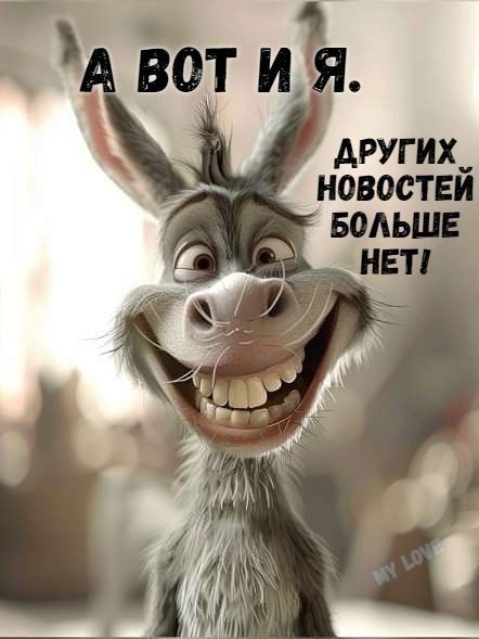 Открытка «Добрый день»: С добрым утром! А вот и я!. Тэги: поднятие, Добрый день и добрые пожелания, Добрый день…