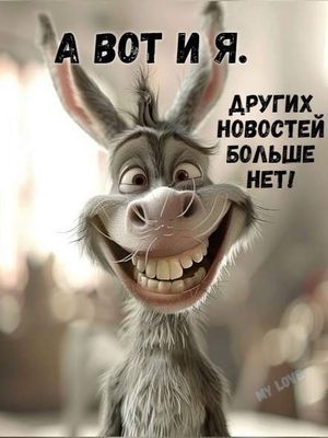 Открытка «Добрый день»: С добрым утром! А вот и я!. Тэги: поднятие, Добрый день и добрые пожелания, Добрый день…