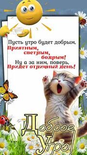 Открытка «С добрым утром»: Доброе утро с милым котом и лучшими пожеланиями. Тэги: кот, животное, пожелание, отличное…