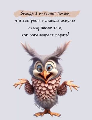 Открытка «Добрый день»: С добрым утром! Забавная сова с советом. Тэги: проза, Добрый день и добрые пожелания, Добрый…