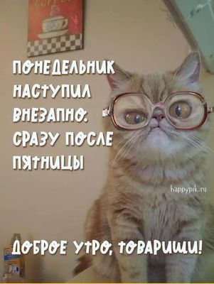 Открытка «С добрым утром»: С добрым утром! Понедельник наступил внезапно. Тэги: кот, животное, пожелание, позитивная…
