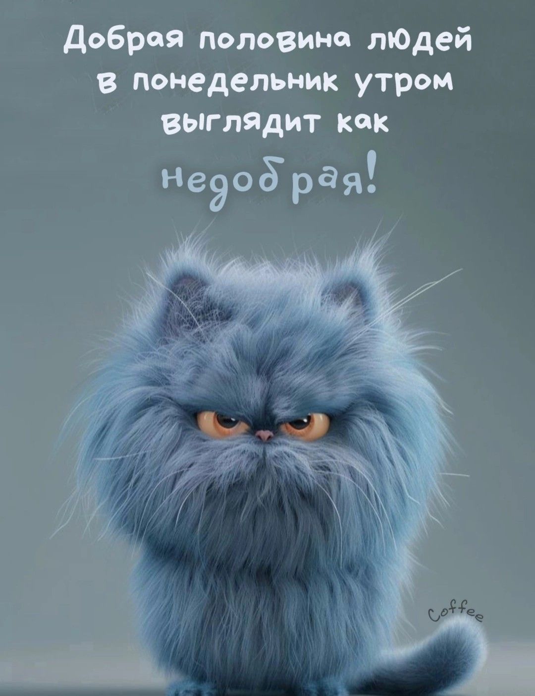 Открытка «С добрым утром»: Понедельник утро: улыбнись, даже если ты 'недобрая'!. Тэги: хорошего дня, кот, животное…