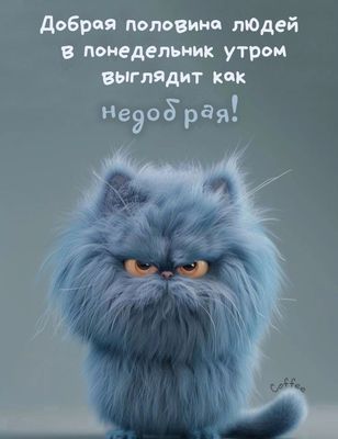 Открытка «С добрым утром»: Понедельник утро: улыбнись, даже если ты 'недобрая'!. Тэги: хорошего дня, кот, животное…