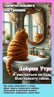 Открытка «С добрым утром»: Доброе утро! Кот и отличное настроение у зеркала. Тэги: кот, животное, пожелание, юмор…