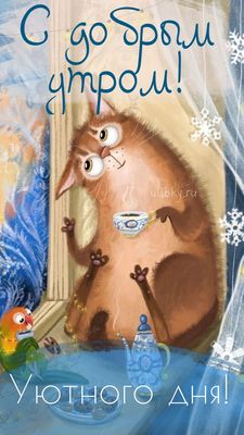 Открытка «С добрым утром»: С добрым утром! Уютного зимнего дня!. Тэги: кот, животное, пожелание, отличное настроение…