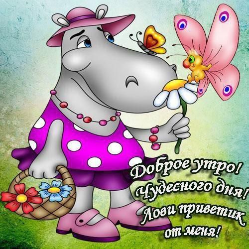 Открытка «С добрым утром»: Доброе утро и чудесного дня от милой бегемотихи. Тэги: хорошего дня, животное, пожелание…