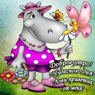 Открытка «С добрым утром»: Доброе утро и чудесного дня от милой бегемотихи. Тэги: хорошего дня, животное, пожелание…