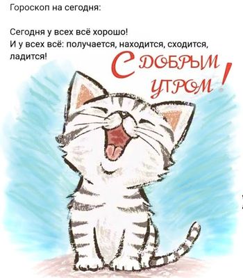 Открытка «С добрым утром»: С Добрым Утром и Самым Лучшим Гороскопом!. Тэги: кот, животное, пожелание, позитивная…