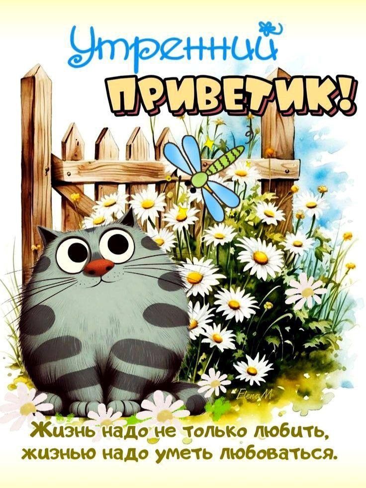 Открытка «С добрым утром»: Пушистый утренний приветик с ромашками. Тэги: кот, животное, пожелание, позитивная, отличн…