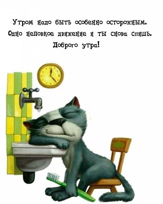 Открытка «С добрым утром»: Сонный кот: осторожно, чтобы снова не уснуть!. Тэги: кот, животное, пожелание, позитивная…