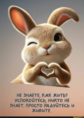 Открытка «С добрым утром»: С добрым утром: кролик желает радоваться жизни. Тэги: хорошего дня, животное, пожелание…