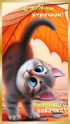 Открытка «С добрым утром»: Милый котёнок: С добрым утром и чудесного дня!. Тэги: кот, животное, пожелание, осень…