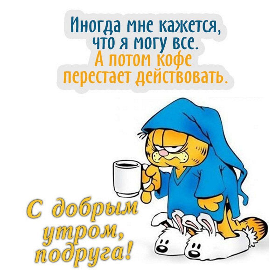 Открытка «С добрым утром»: С добрым утром, подруга! Когда без кофе никуда. Тэги: хорошего дня, кот, животное, пожелан…