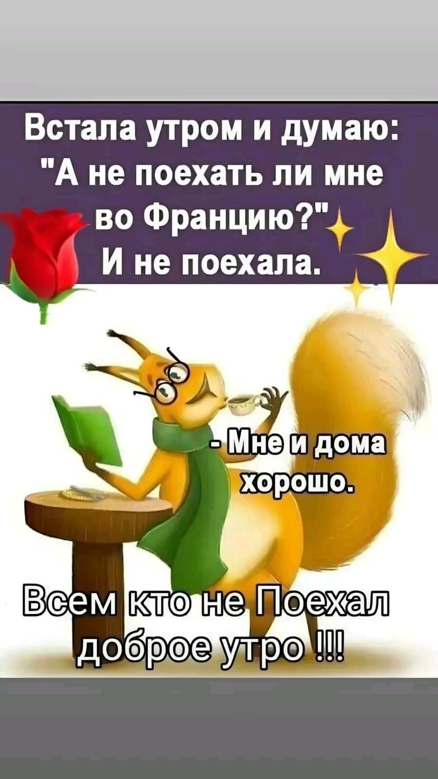 Открытка «С добрым утром»: Доброе утро: уютно дома лучше, чем во Франции!. Тэги: хорошего дня, животное, пожелание…