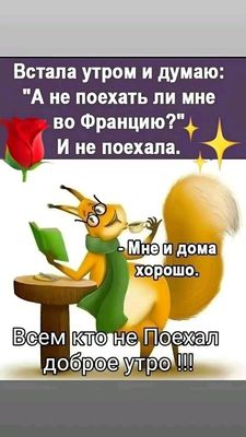 Открытка «С добрым утром»: Доброе утро: уютно дома лучше, чем во Франции!. Тэги: хорошего дня, животное, пожелание…