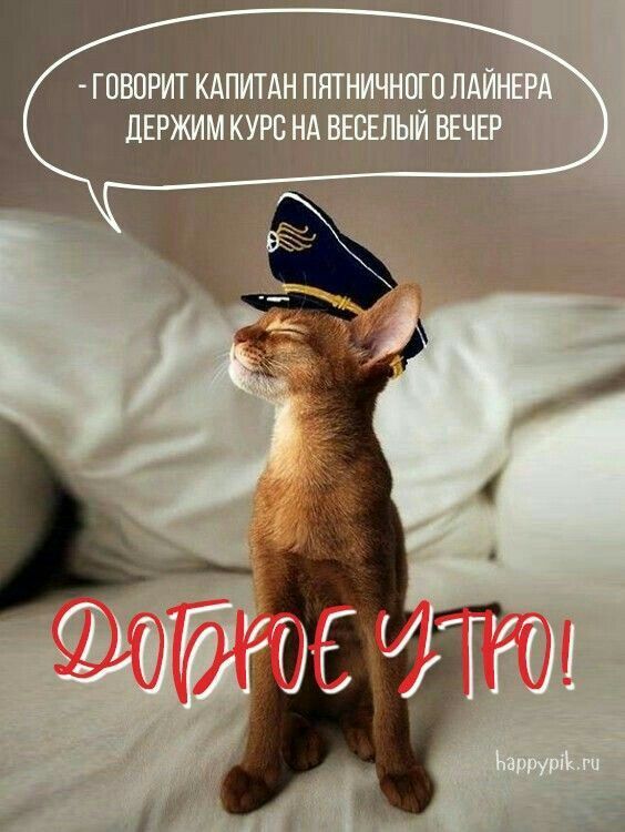 Открытка «С добрым утром»: Доброе утро: Капитан Пятницы ведет на веселый вечер!. Тэги: С добрым утром в пятницу…