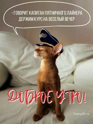 Открытка «С добрым утром»: Доброе утро: Капитан Пятницы ведет на веселый вечер!. Тэги: С добрым утром в пятницу…