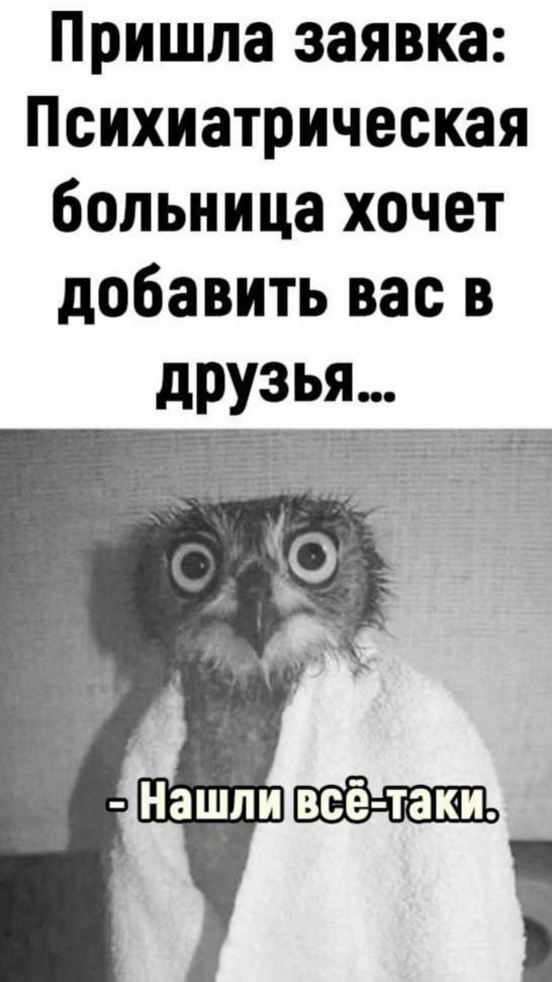 Открытка «Добрый день»: С добрым утром! Когда психбольница добавляет в друзья. Тэги: поднятие, Добрый день и добрые п…