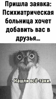 Открытка «Добрый день»: С добрым утром! Когда психбольница добавляет в друзья. Тэги: поднятие, Добрый день и добрые п…