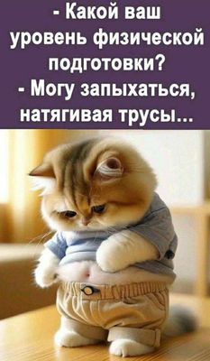 Открытка «С добрым утром»: С добрым утром! Вот так физподготовка!. Тэги: кот, животное, юмор, улыбка, утро, друг…